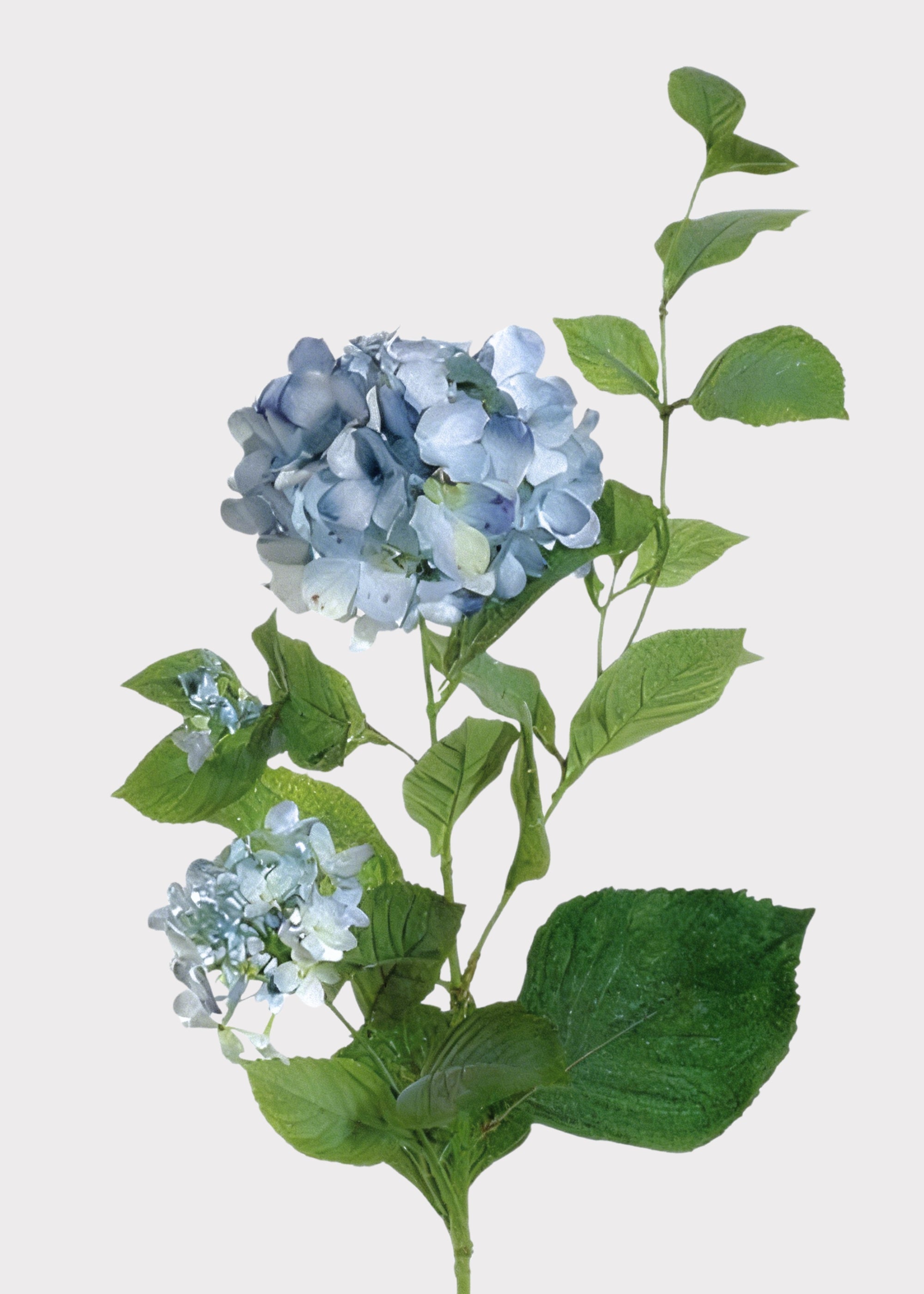 Artificial Hydrangea in Antique Light Blue - 36"