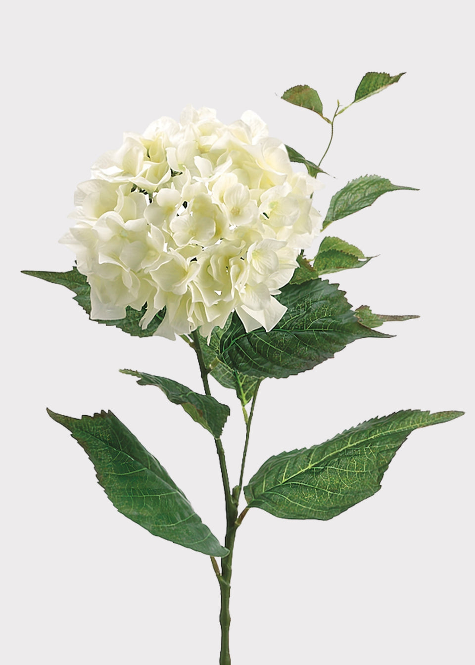 Fake Hydrangea Flower in Cream White - 34"