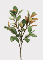 Artificial Budding Magnolia Leaf Branch - 37"