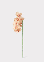 Fake Blooming Phalaenopsis Orchids in Peach Pink - 40"