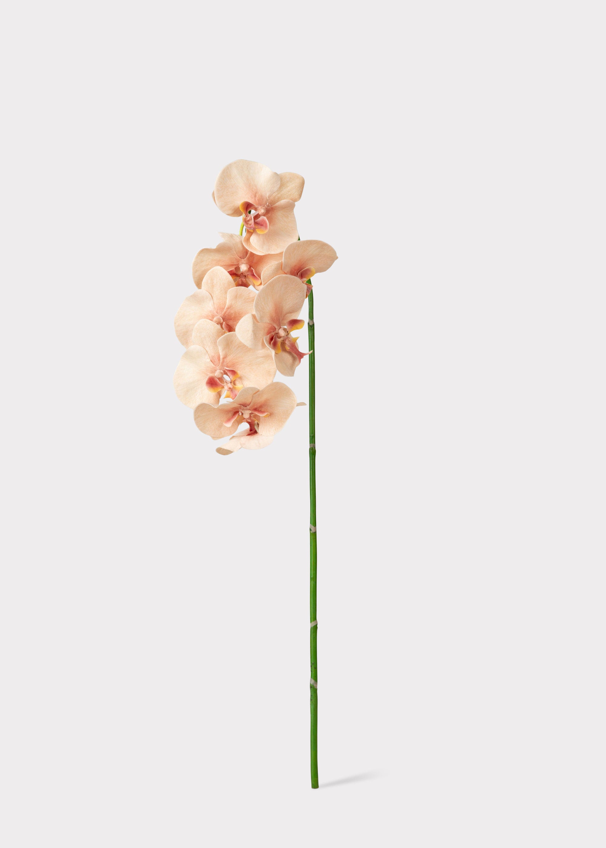 Fake Blooming Phalaenopsis Orchids in Peach Pink - 40"