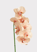 Fake Blooming Phalaenopsis Orchids in Peach Pink - 40"