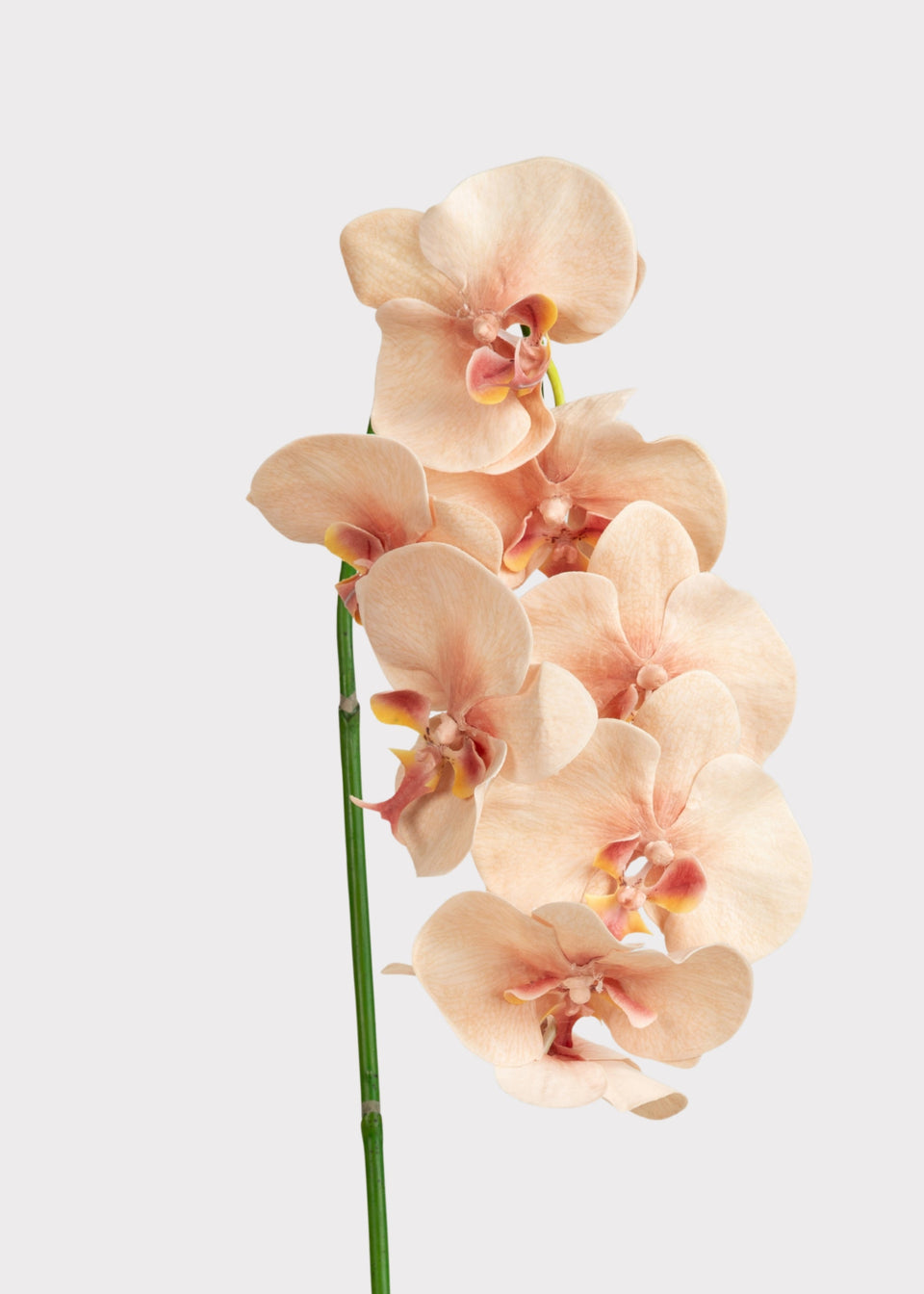 Fake Blooming Phalaenopsis Orchids in Peach Pink - 40"