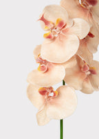 Fake Blooming Phalaenopsis Orchids in Peach Pink - 40"