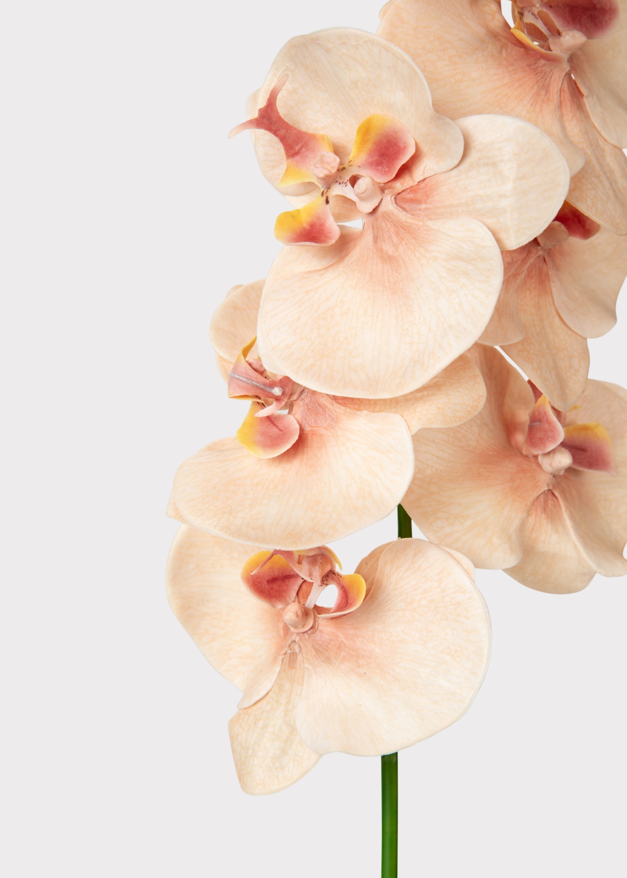 Fake Blooming Phalaenopsis Orchids in Peach Pink - 40"