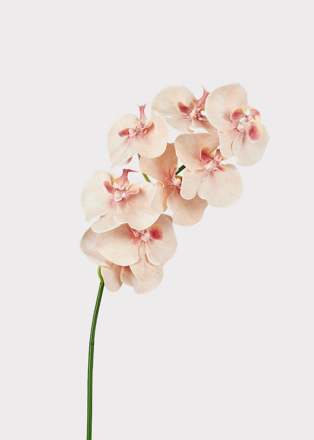 Fake Blooming Phalaenopsis Orchids in Peach Pink - 40"