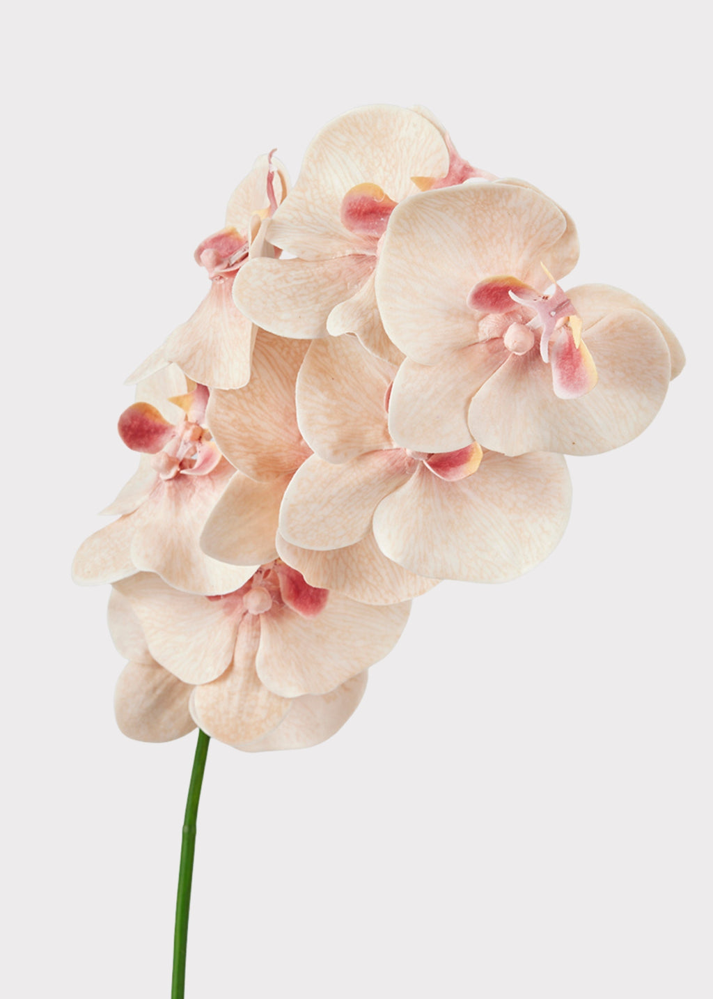 Fake Blooming Phalaenopsis Orchids in Peach Pink - 40"
