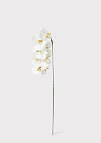 Faux White Blooming Phalaenopsis Orchids - 40"