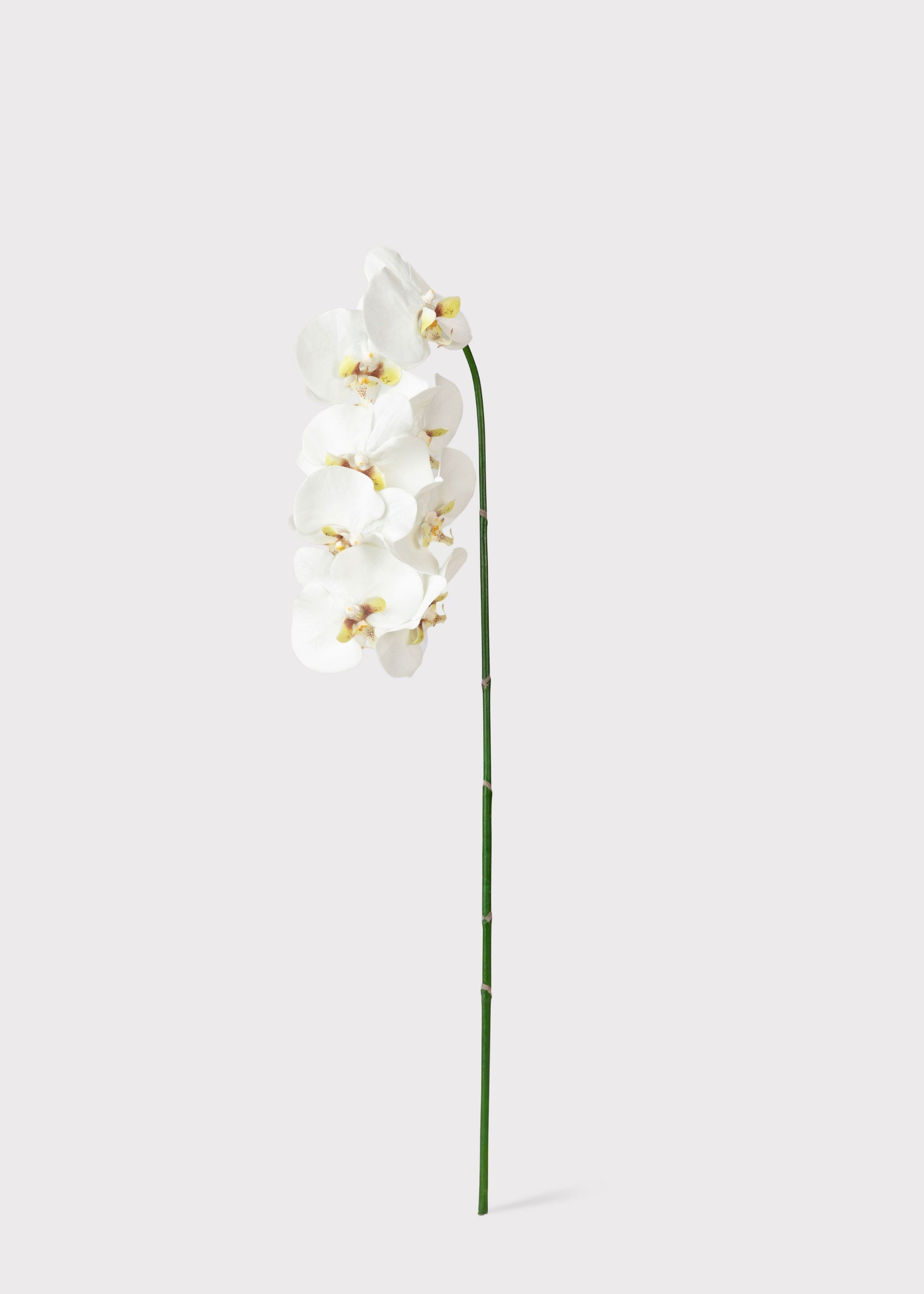 Faux White Blooming Phalaenopsis Orchids - 40"