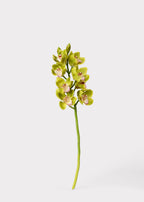 Green Burgundy Faux Cymbidium Orchids - 28.5"
