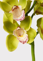Green Burgundy Faux Cymbidium Orchids - 28.5"