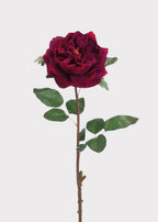 Artificial English Rose in Wine - 20"
