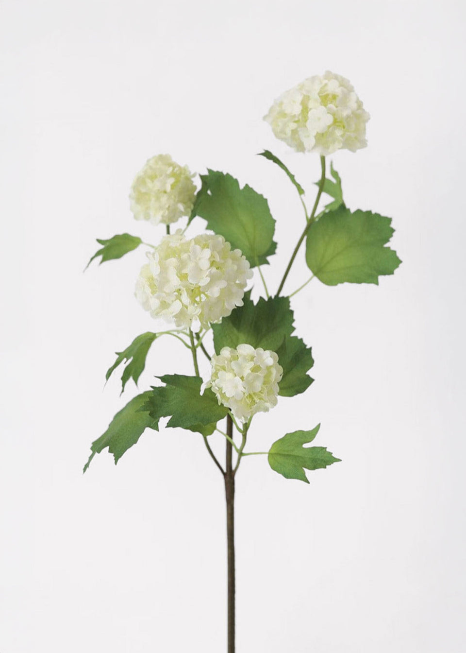 SAVE - Cream White Artificial Snowball Flowers - 24"