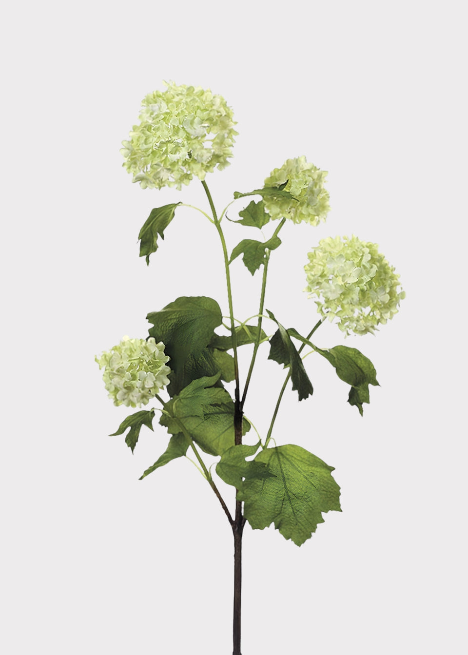SAVE - Green Cream Artificial Snowball Flowers - 24"