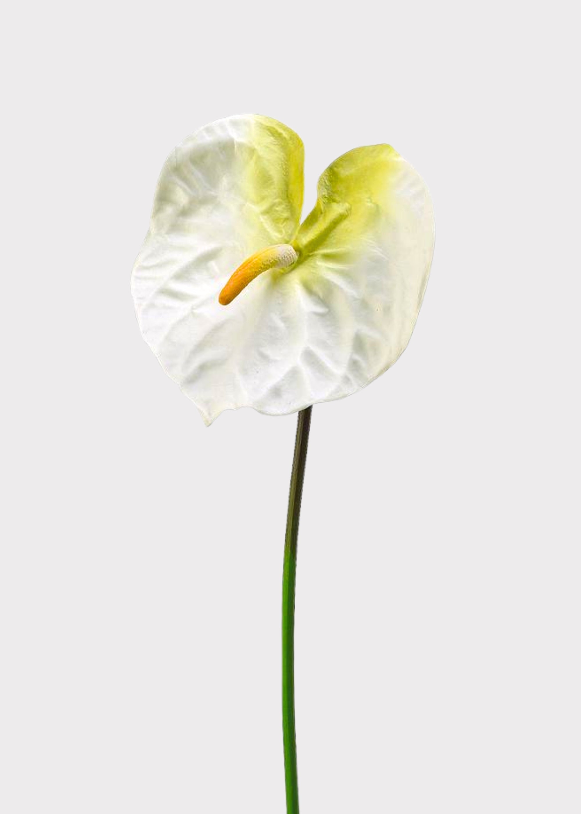 Cream White Artificial Anthurium Tropical Flower - 27"
