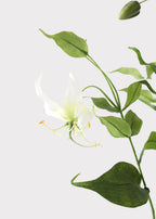 Tropical Fake Gloriosa Lily in Cream White - 34"