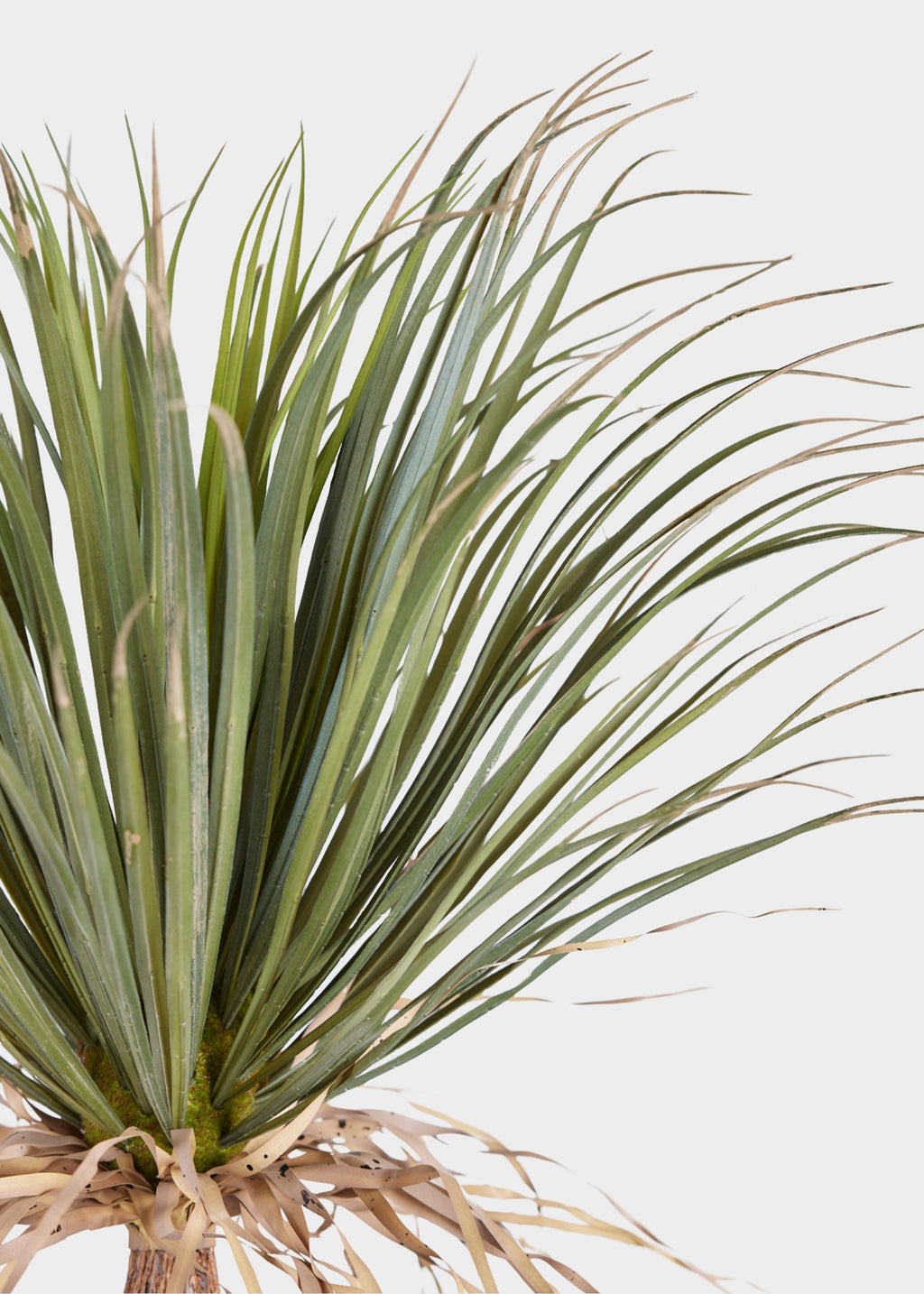 Faux Potted Palm Tree Plant in Cement Planter - 40"