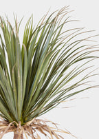 Faux Potted Palm Tree Plant in Cement Planter - 40"
