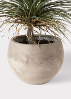 Faux Potted Palm Tree Plant in Cement Planter - 40"