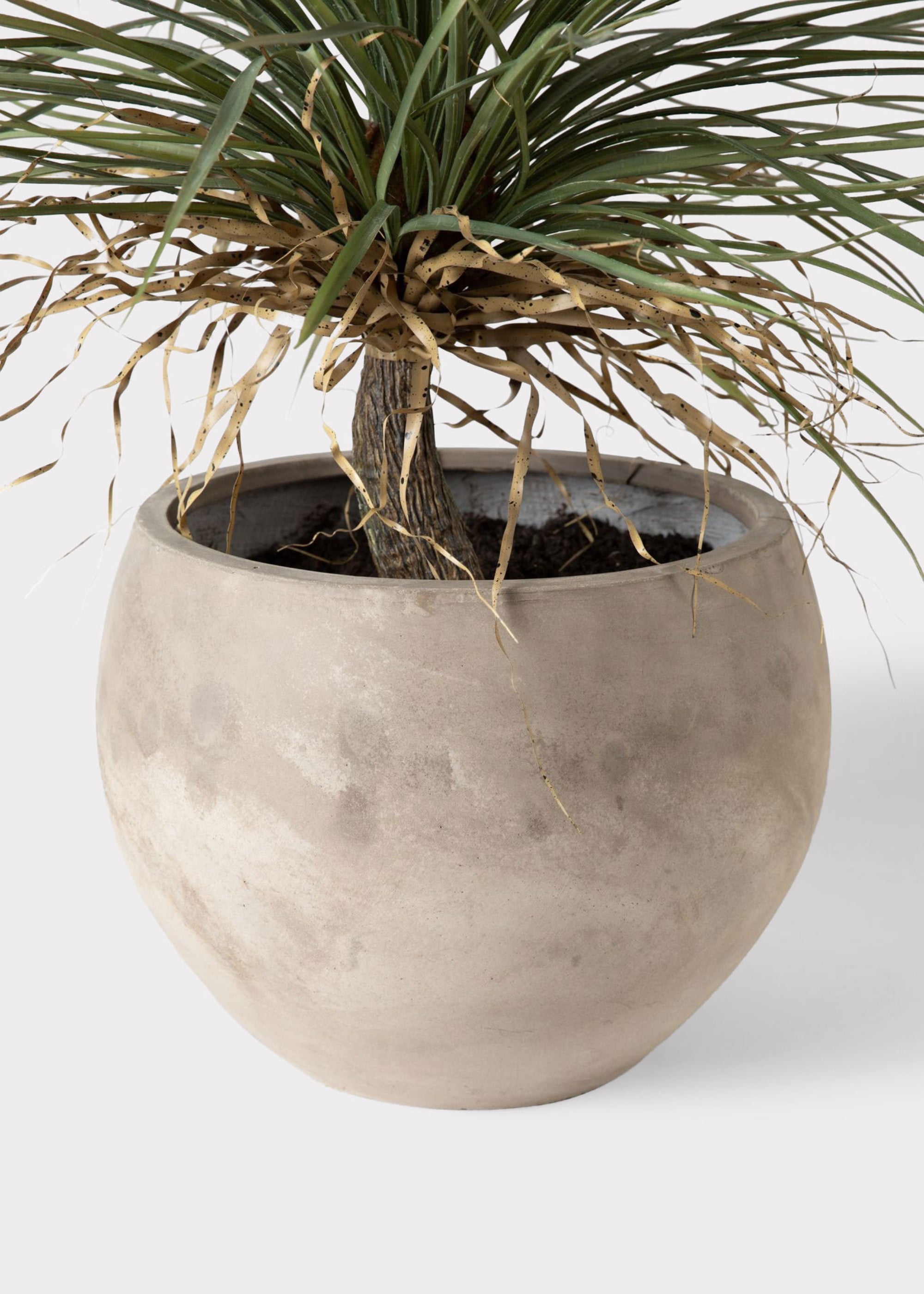 Faux Potted Palm Tree Plant in Cement Planter - 40"