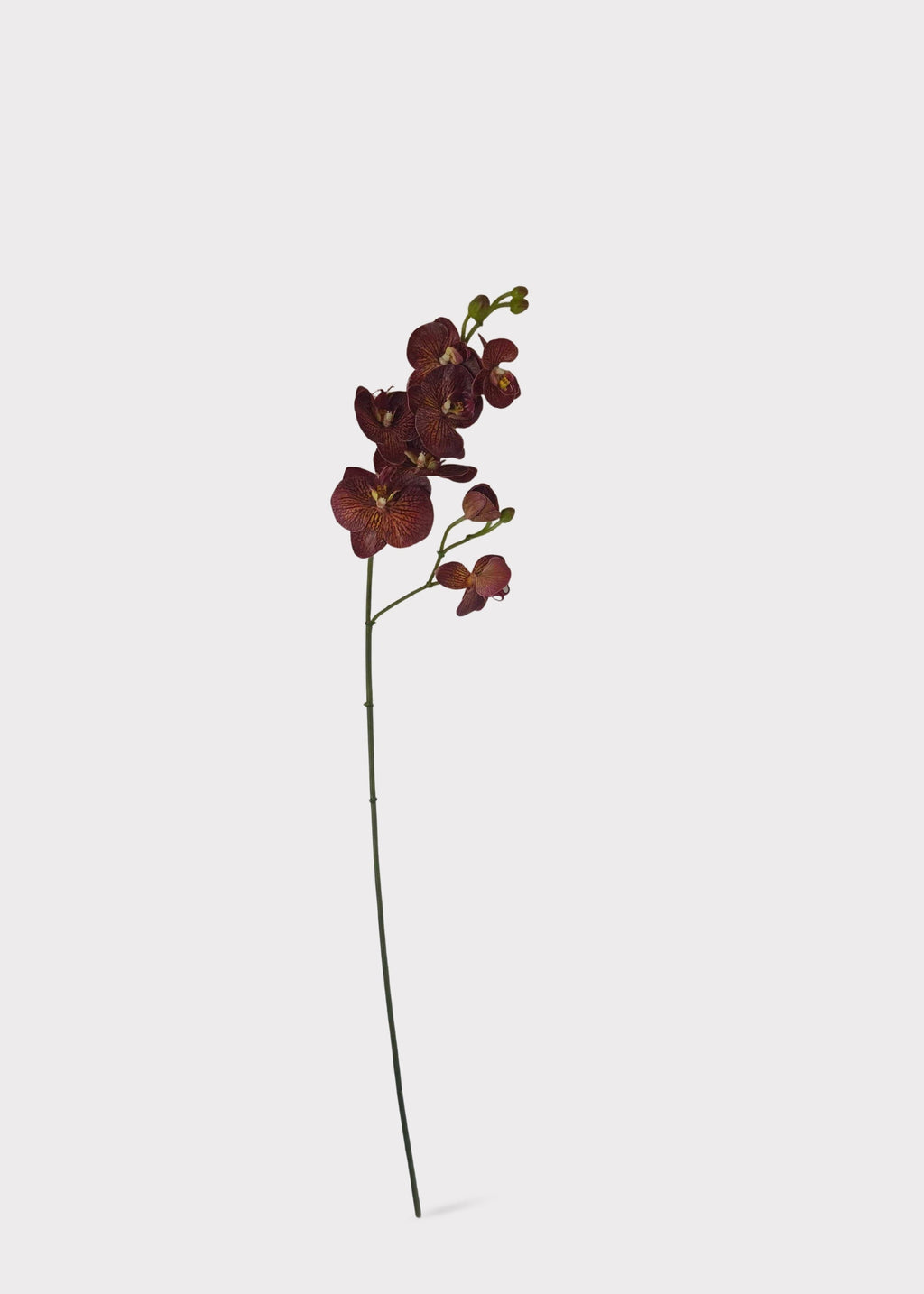 Autumn Brown Real Touch Fake Phalaenopsis Orchid - 31"