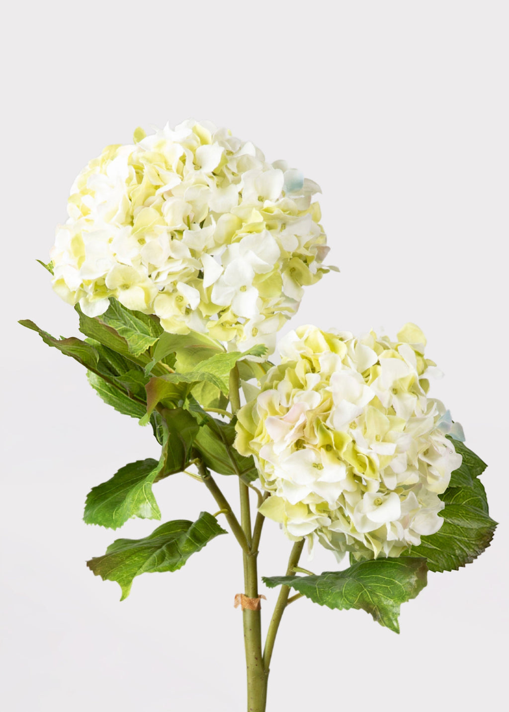 Cream Green Artificial Hydrangea Branch - 36"