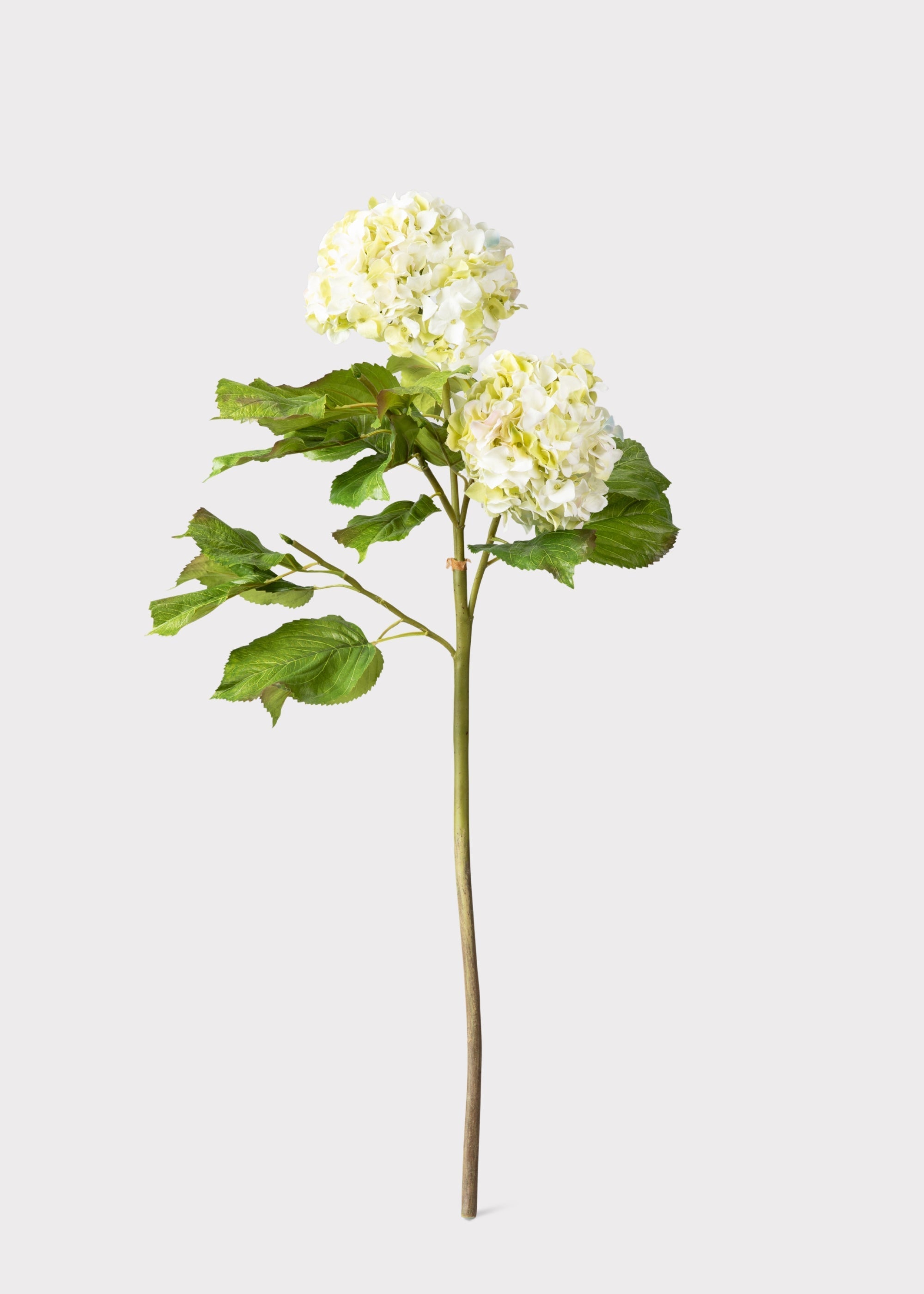 Cream Green Artificial Hydrangea Branch - 36"