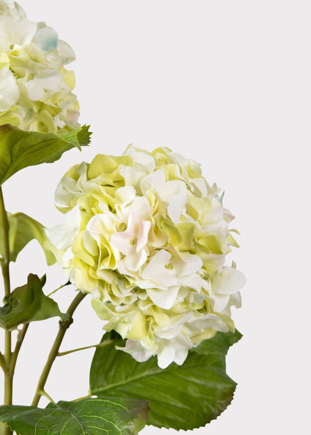 Cream Green Artificial Hydrangea Branch - 36"