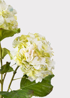 Cream Green Artificial Hydrangea Branch - 36"