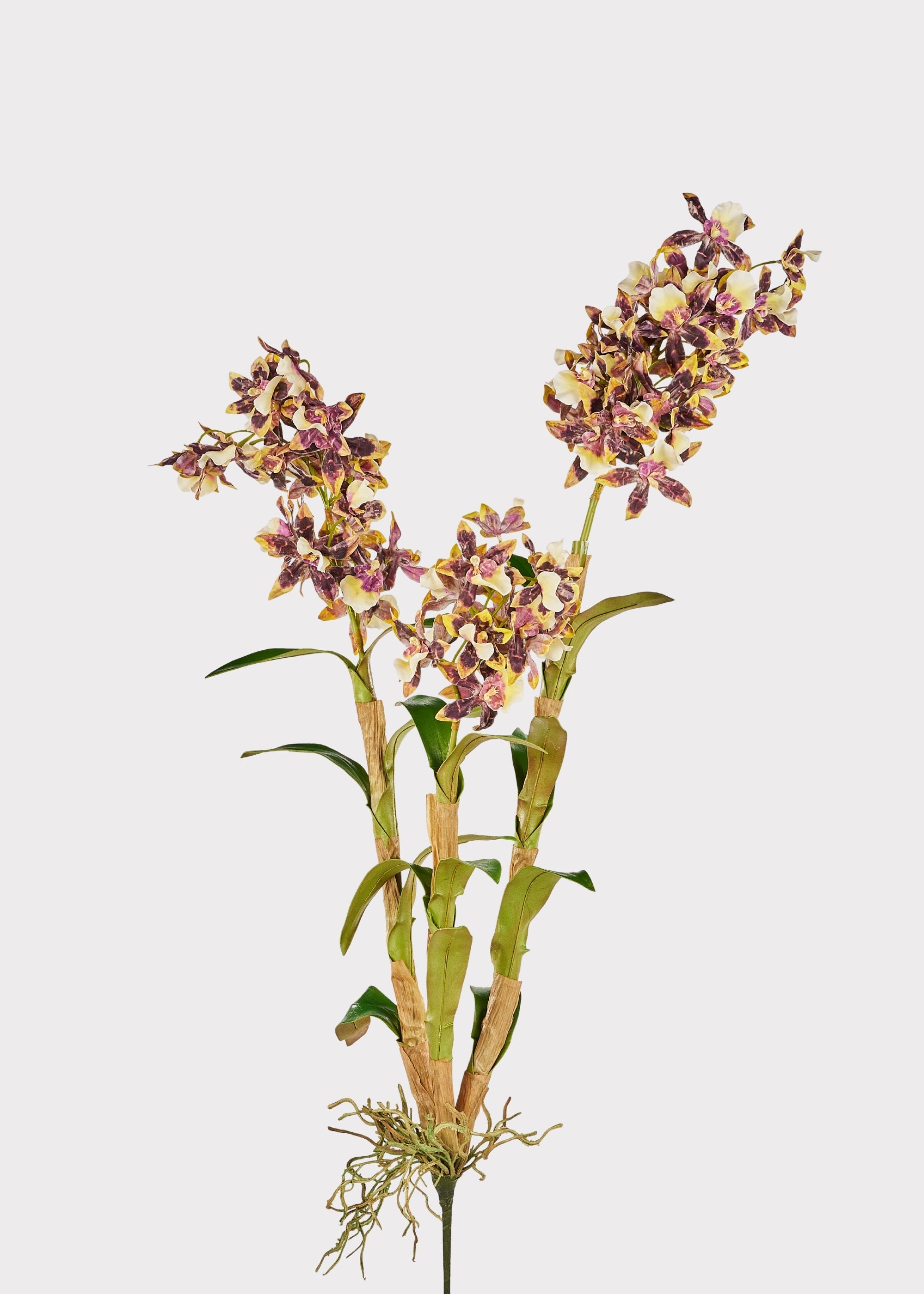 Brown and White Artificial Dendrobium Orchid Plant - 35"