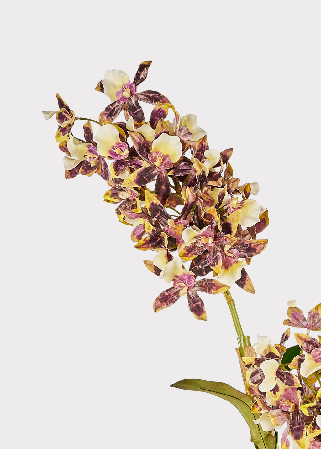 Brown and White Artificial Dendrobium Orchid Plant - 35"