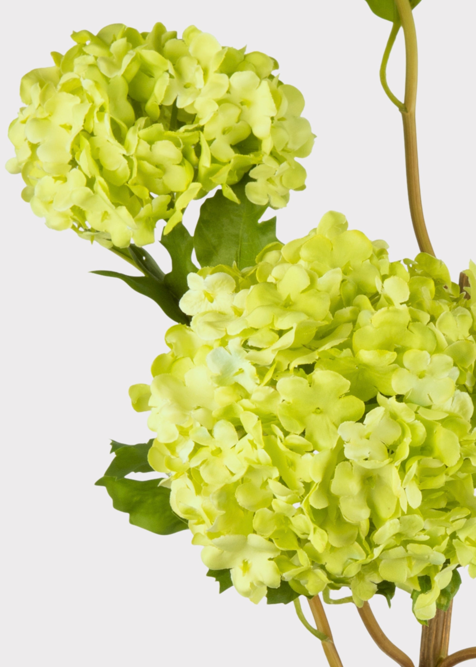 Faux Flowers Snowball Flower Stem in Green - 43.5"