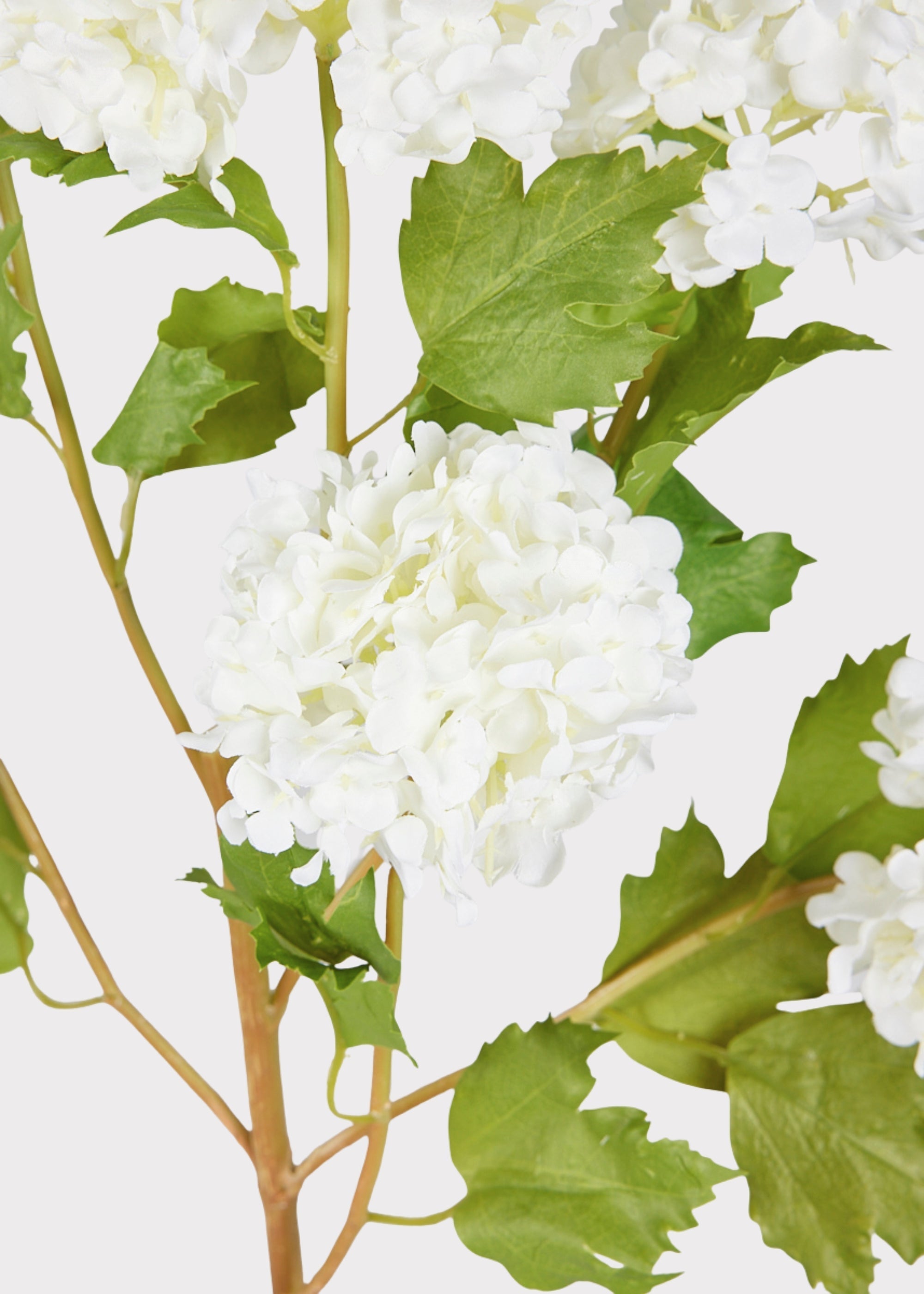 SAVE - Faux Snowball Hydrangea in Crisp White - 43.5"
