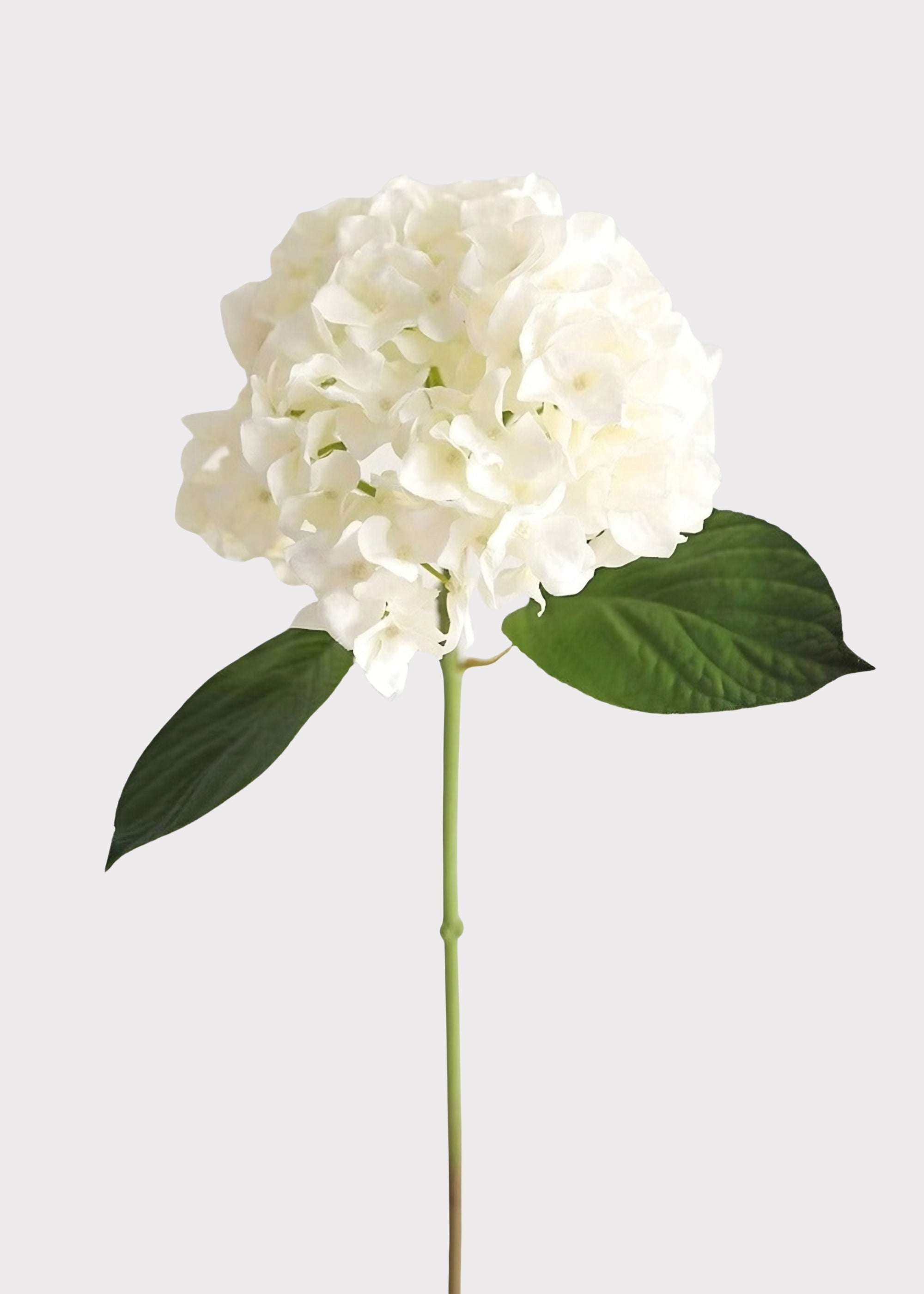 Fake Flowers Real Touch Hydrangea Stem in Talc White  - 18"