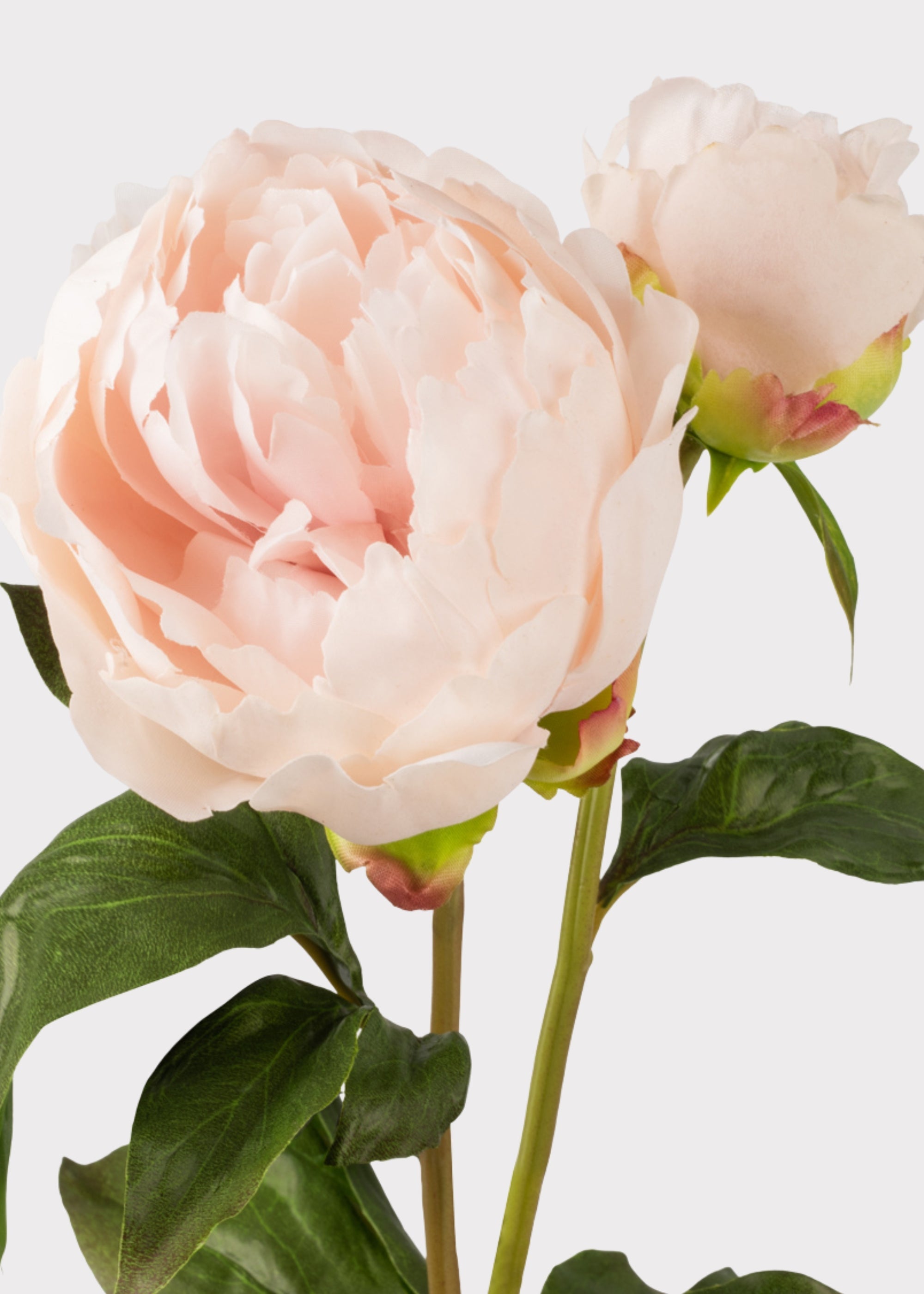 Real Touch Fake Flowers Blush Peony - 27"