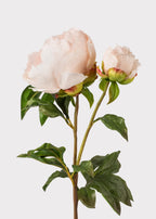 Real Touch Fake Flowers Blush Peony - 27"