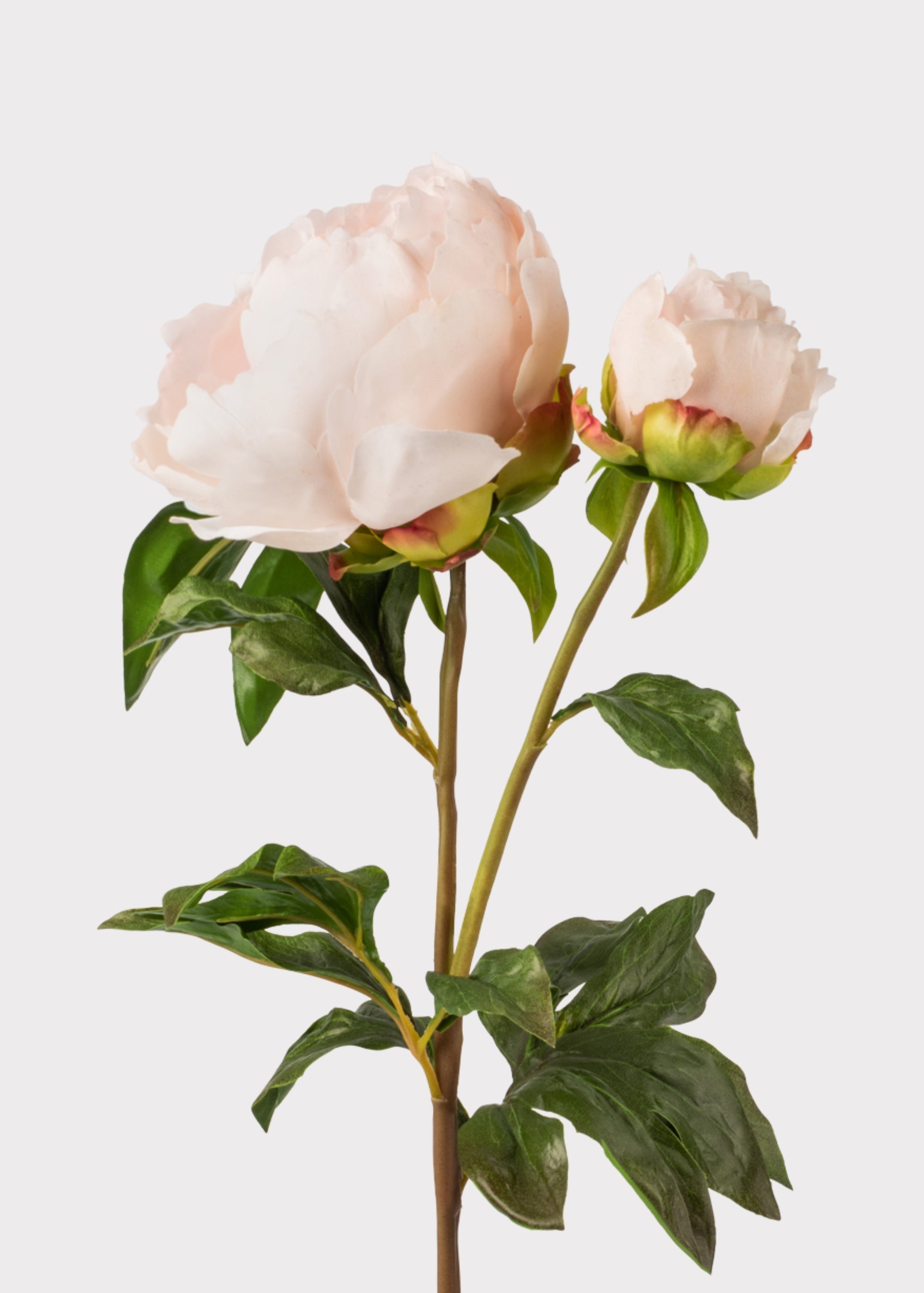 Real Touch Fake Flowers Blush Peony - 27"