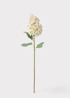 SAVE - Large Deluxe Faux Dried Cone Hydrangea in Parchment