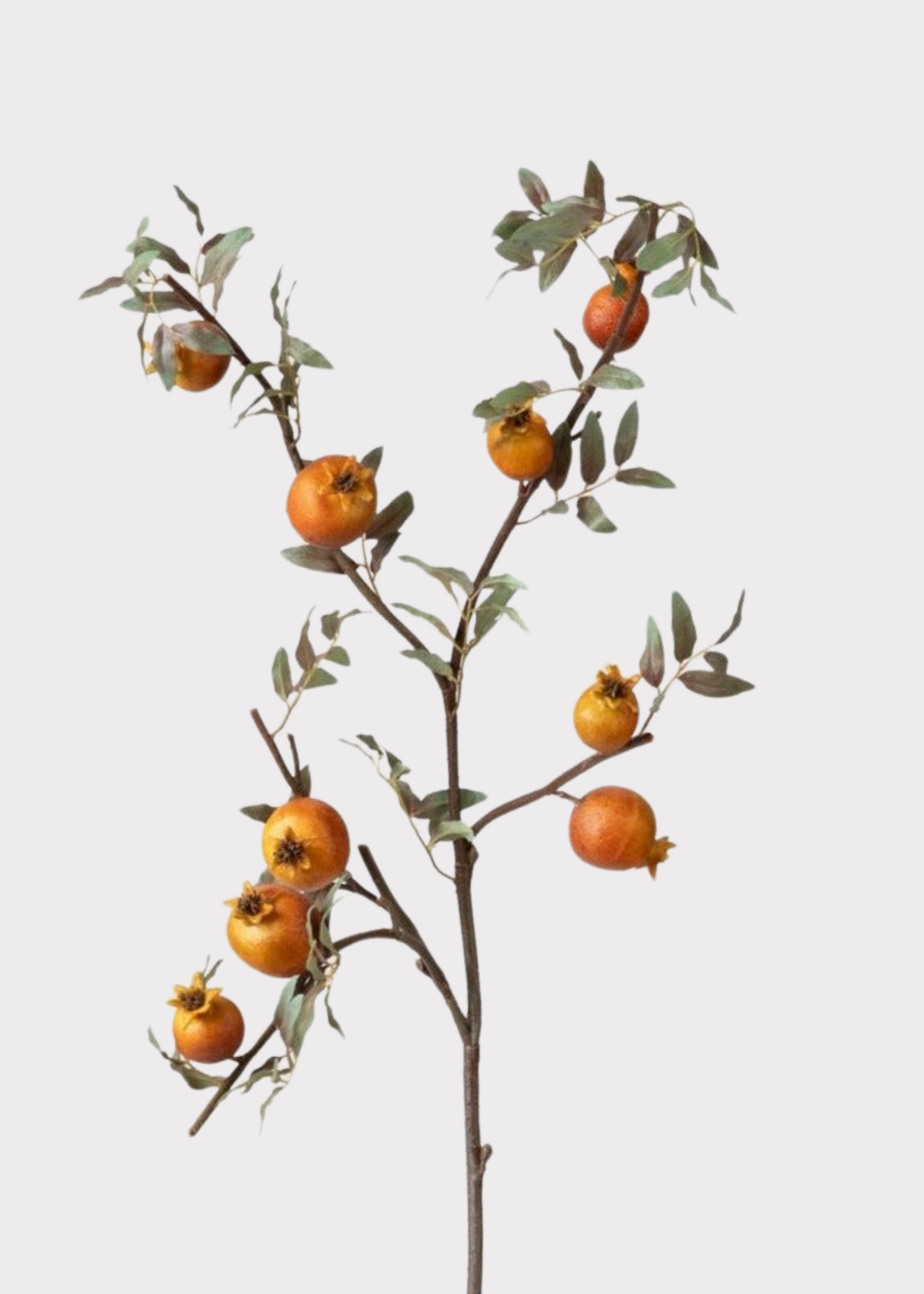 Dried Look Faux Pomegranate Branch  - 44"