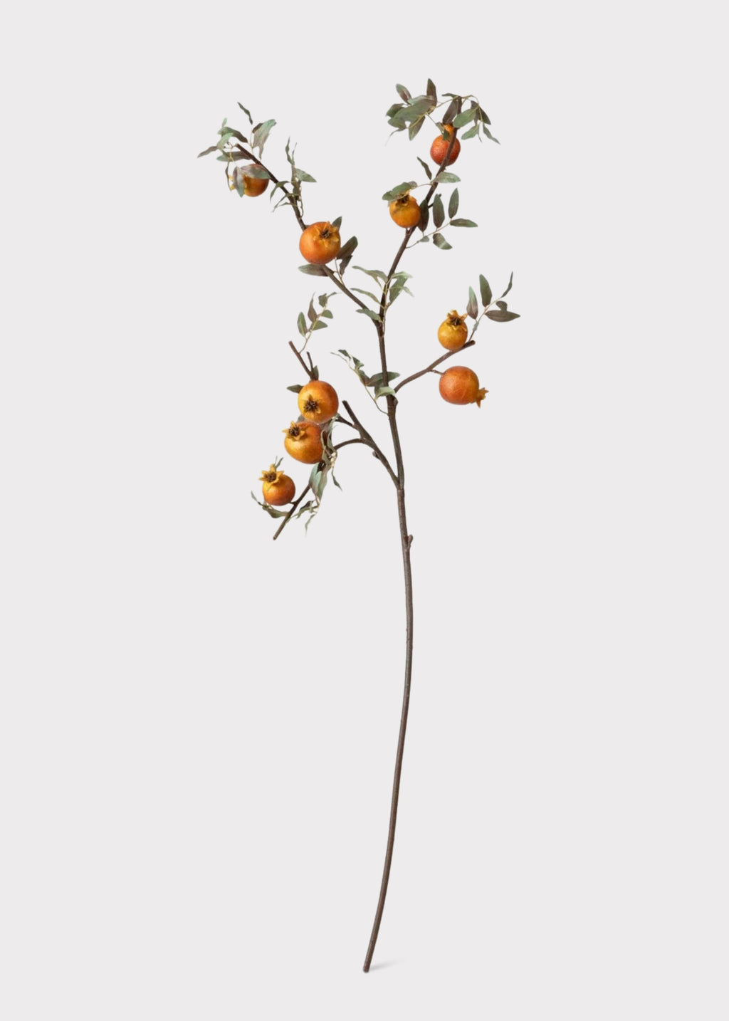 Dried Look Faux Pomegranate Branch  - 44"