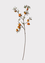 Dried Look Faux Pomegranate Branch  - 44"