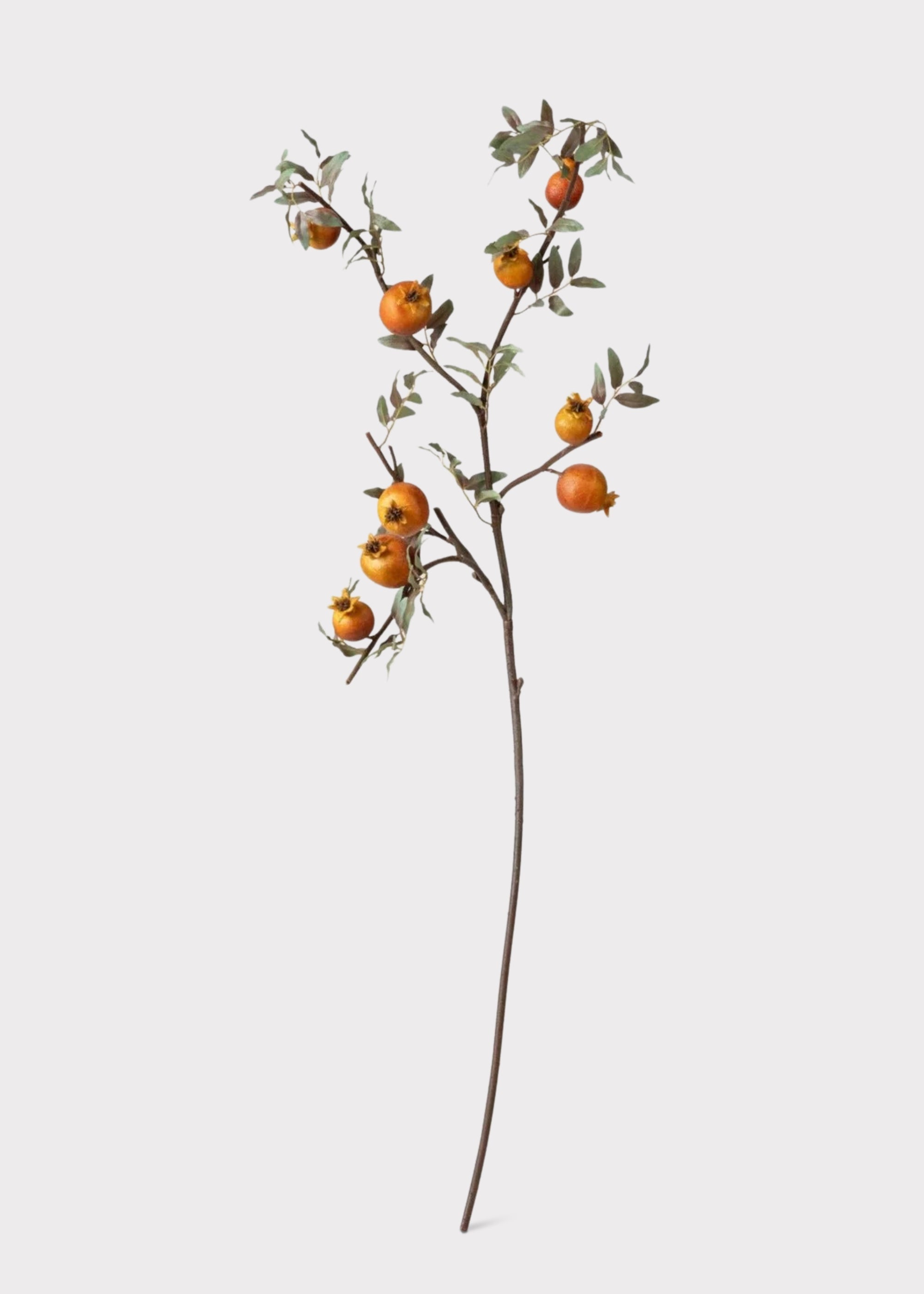 Dried Look Faux Pomegranate Branch  - 44"