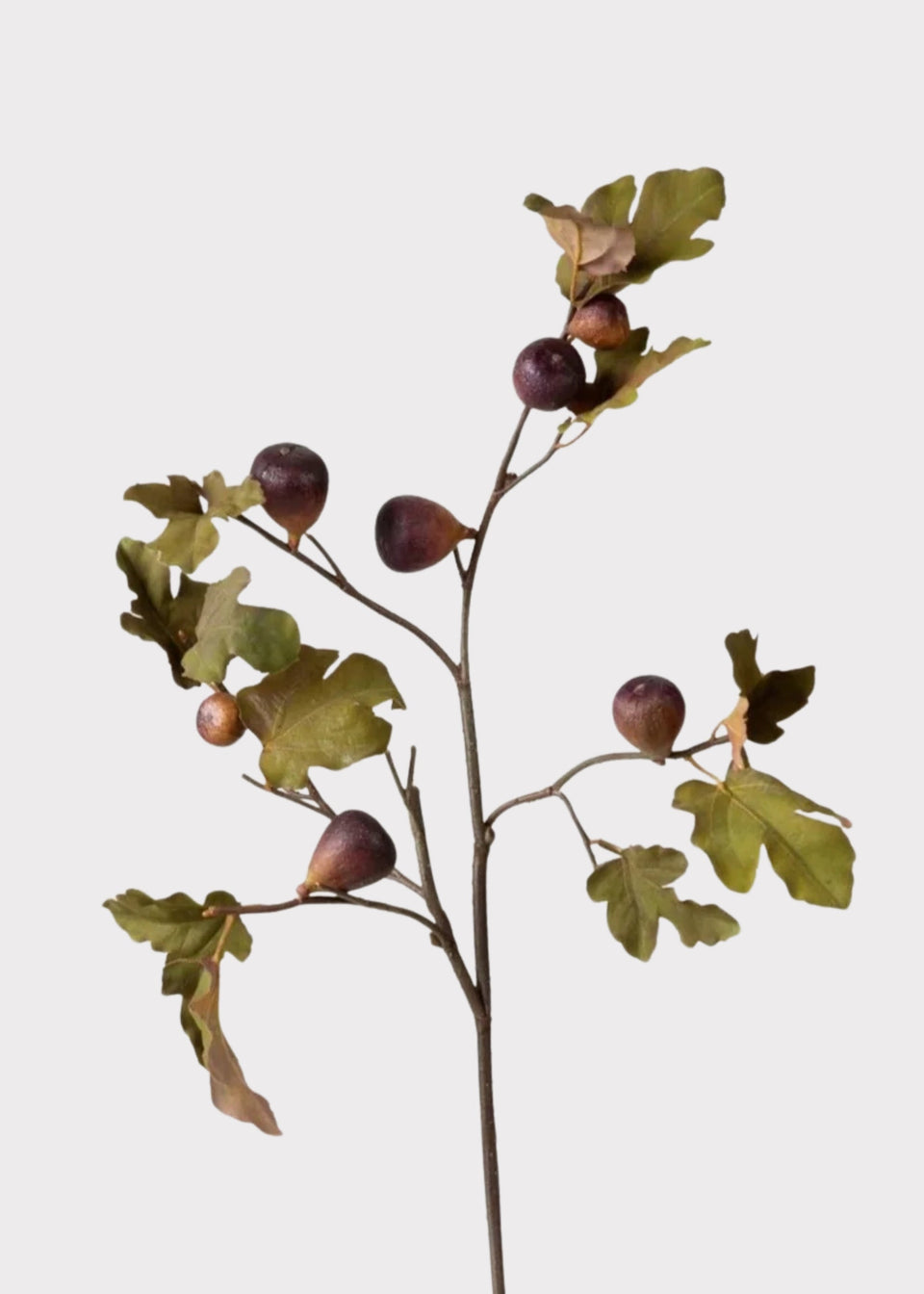 Premium Faux Fig Branch in Eggplant - 37"