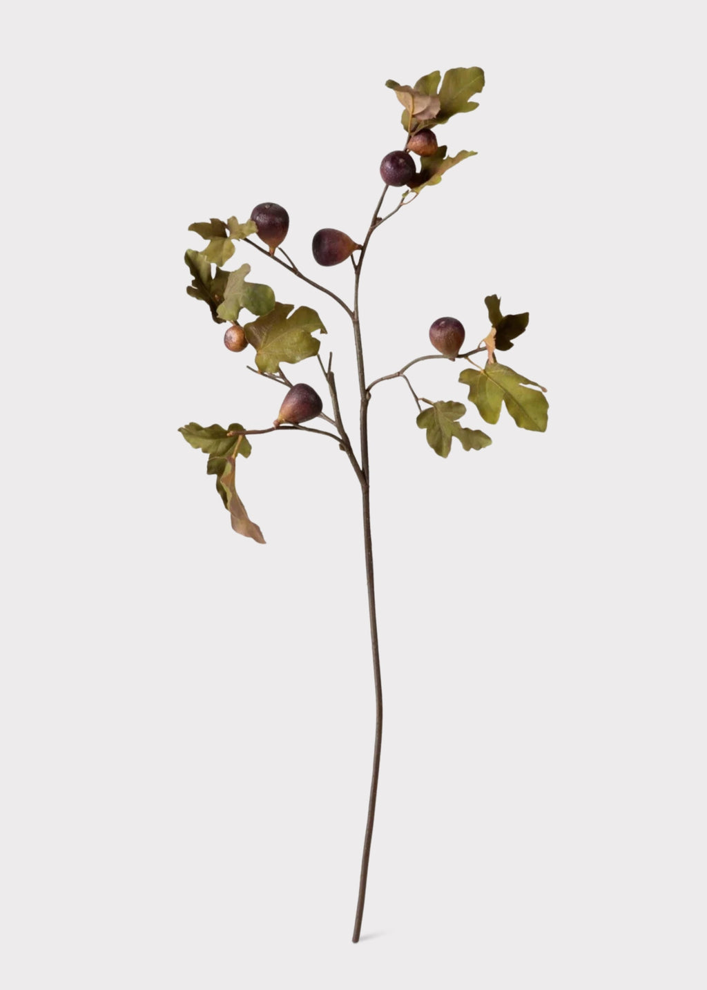 Premium Faux Fig Branch in Eggplant - 37"