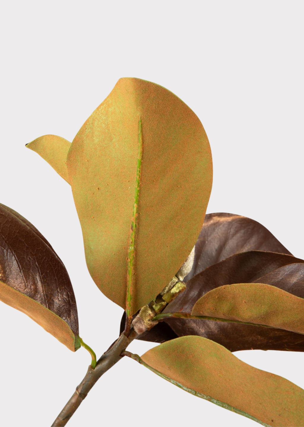 SAVE - Warm Brown Fake Magnolia Leaf Branch - 38.5"