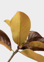 SAVE - Warm Brown Fake Magnolia Leaf Branch - 38.5"