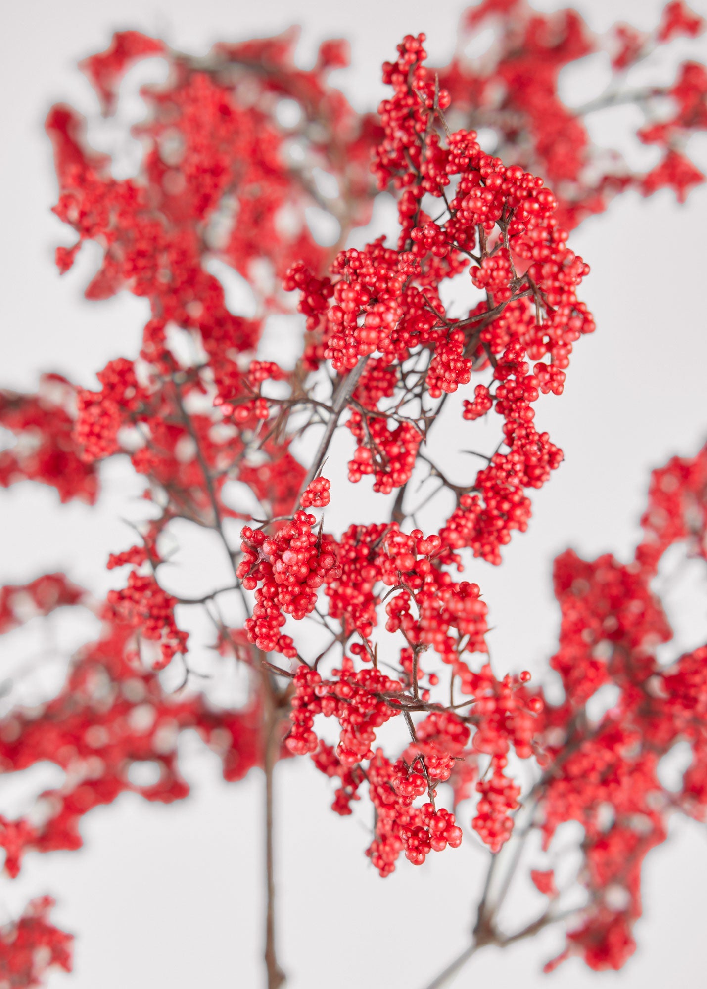 Red Artificial Berry Branch - 40"
