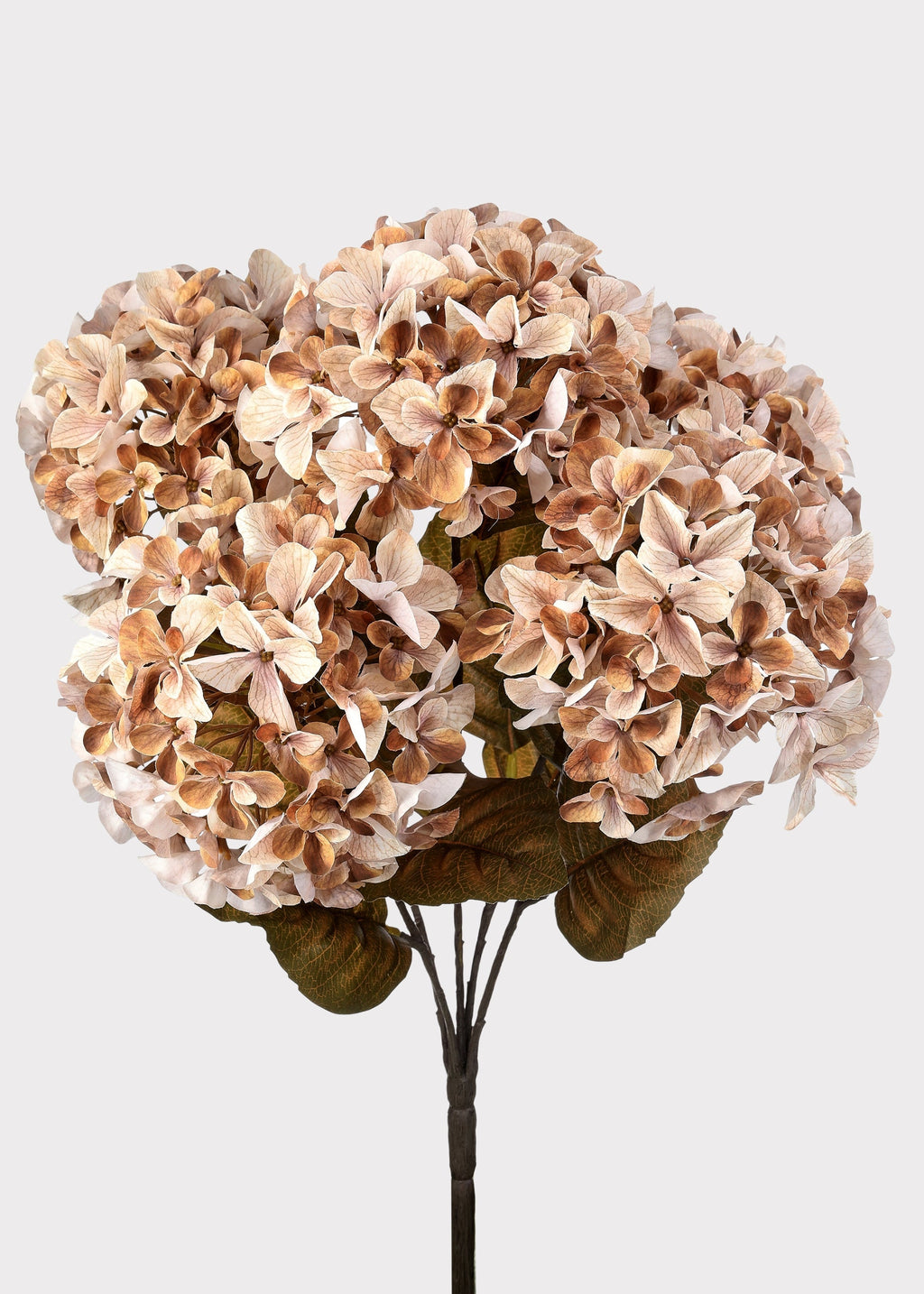 Artificial Autumn Hydrangea Bush in Cream and Brown - 22"