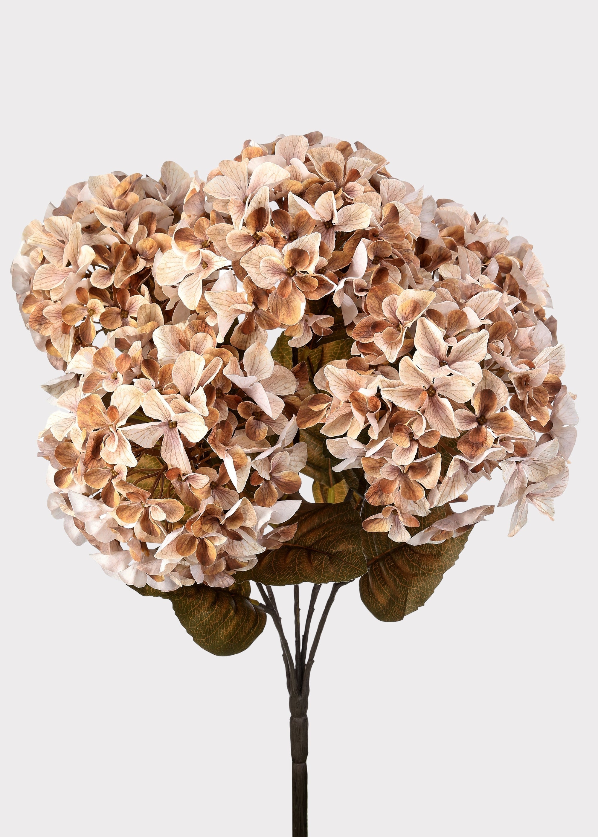 Artificial Autumn Hydrangea Bush in Cream and Brown - 22"