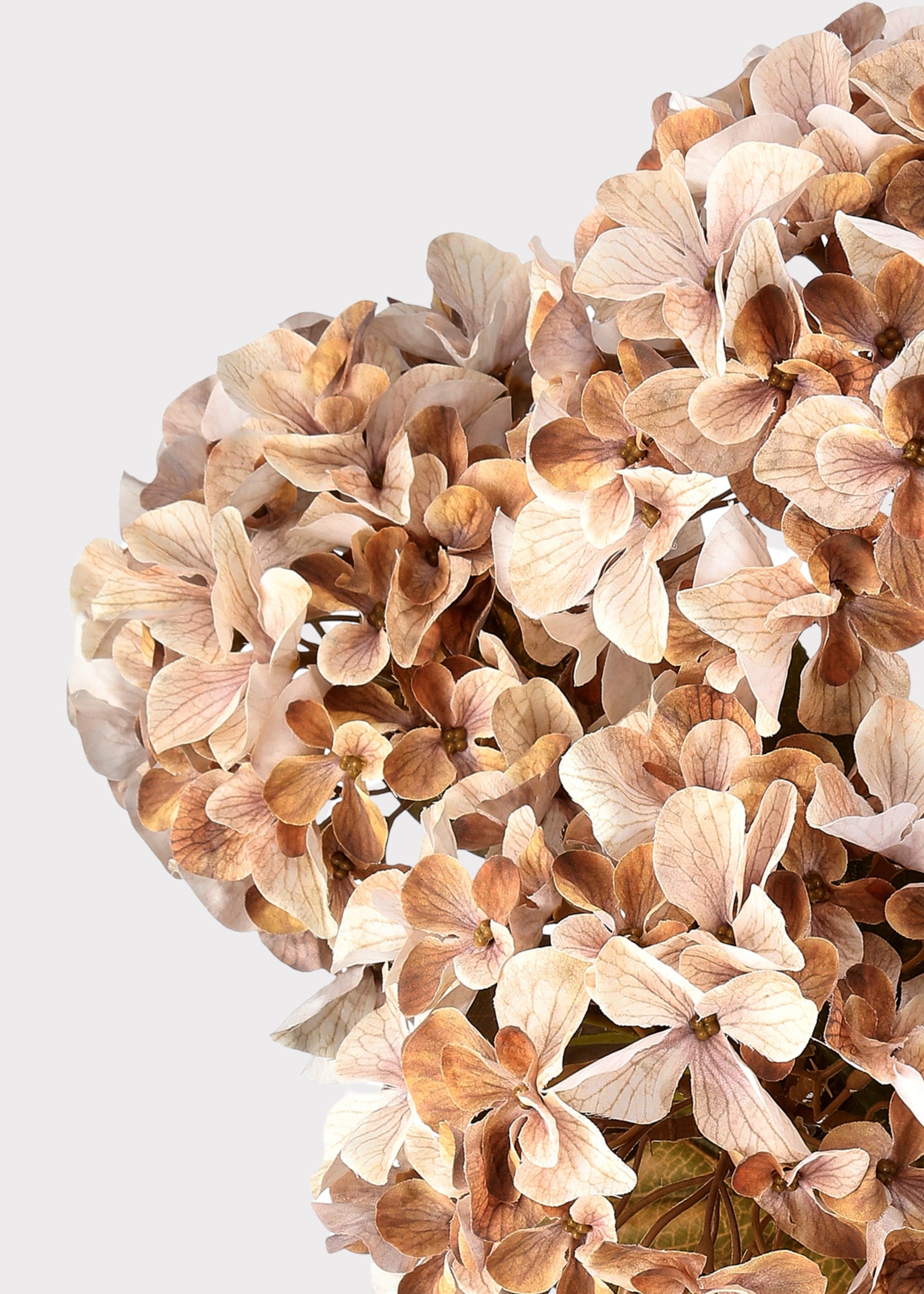 Artificial Autumn Hydrangea Bush in Cream and Brown - 22"